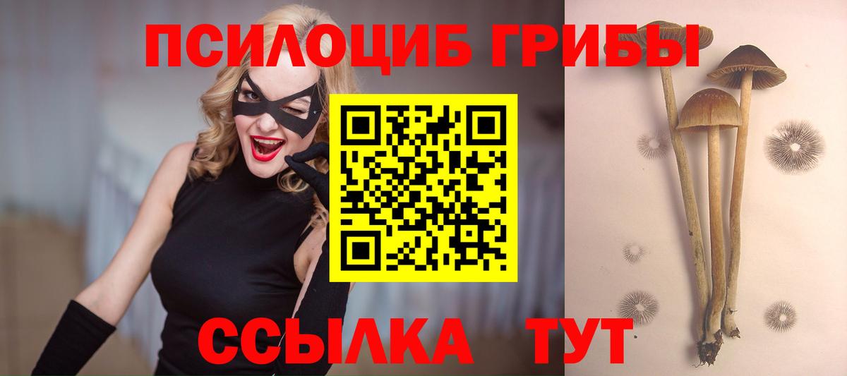 Качканар  Галлюциногенные грибы Cubensis  Галлюциногенные грибы прущие грибы  Вход с VPN 